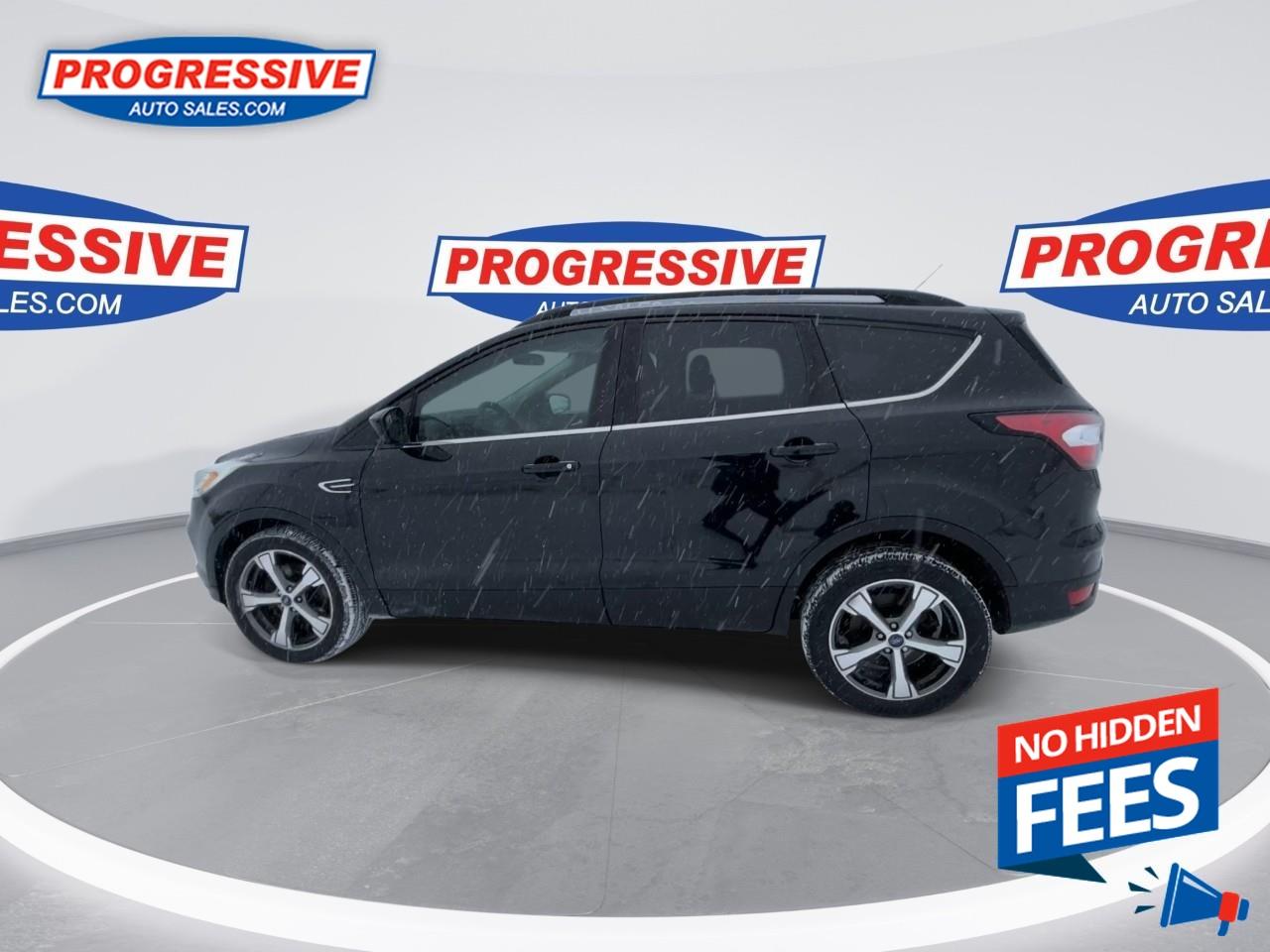 2017 Ford Escape SE Photo