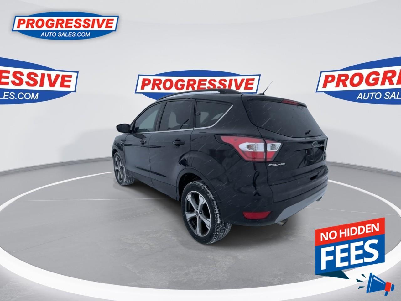 2017 Ford Escape SE Photo