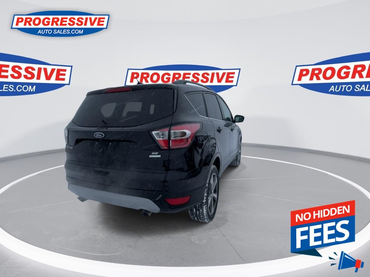 2017 Ford Escape SE Photo