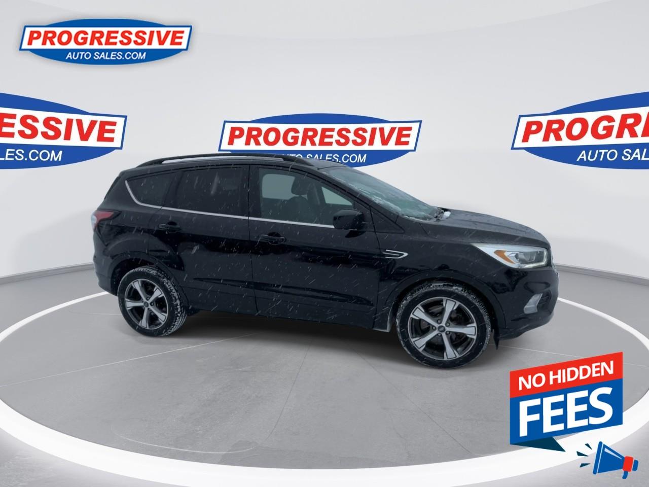 2017 Ford Escape SE Photo