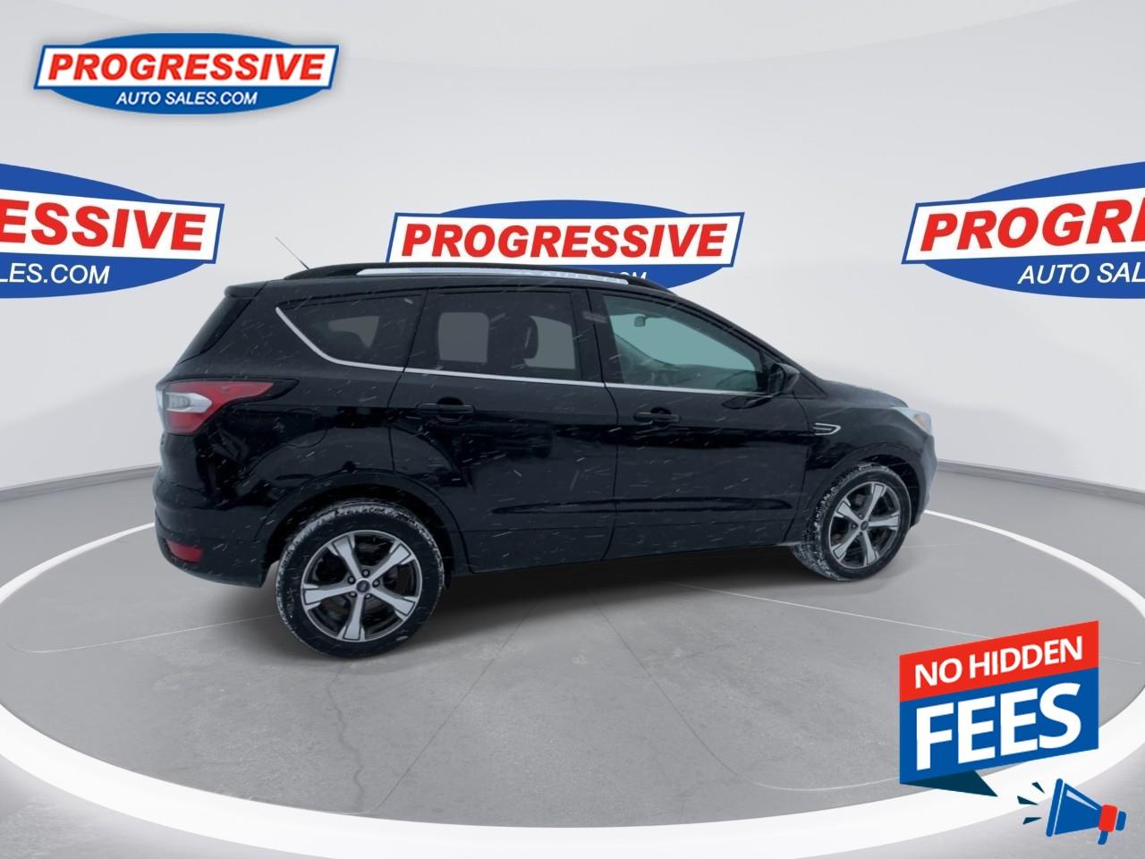 2017 Ford Escape SE Photo