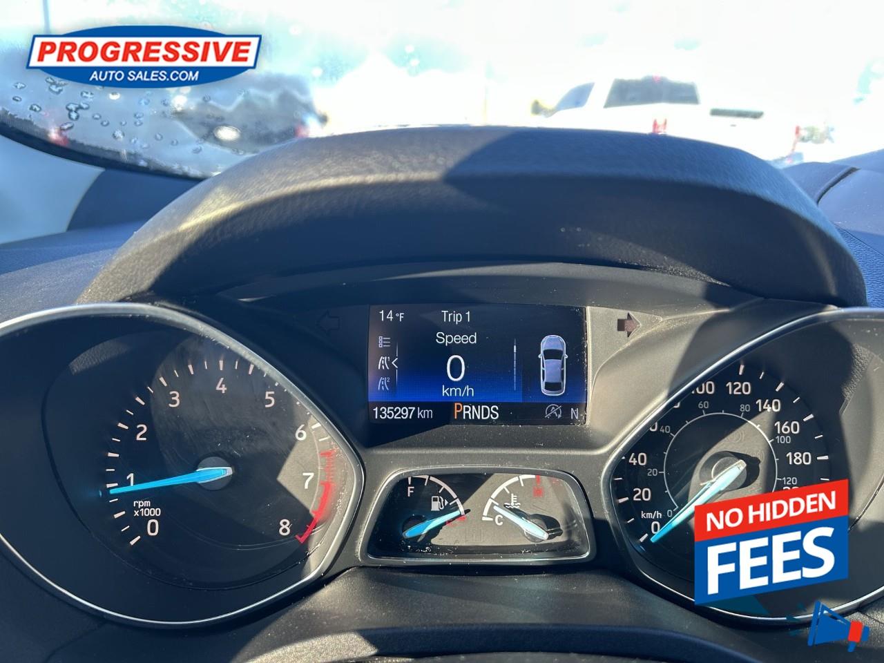 2017 Ford Escape SE Photo