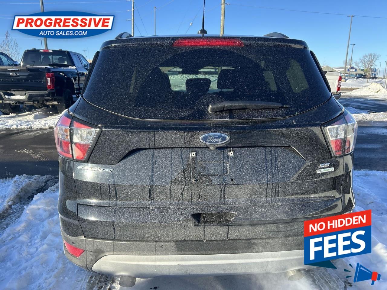 2017 Ford Escape SE Photo