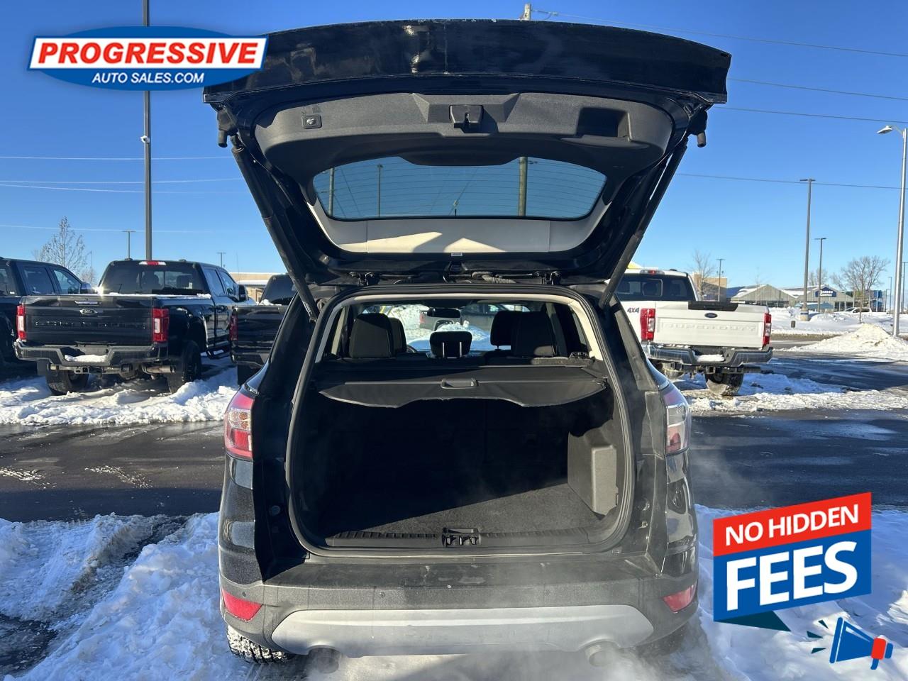 2017 Ford Escape SE Photo