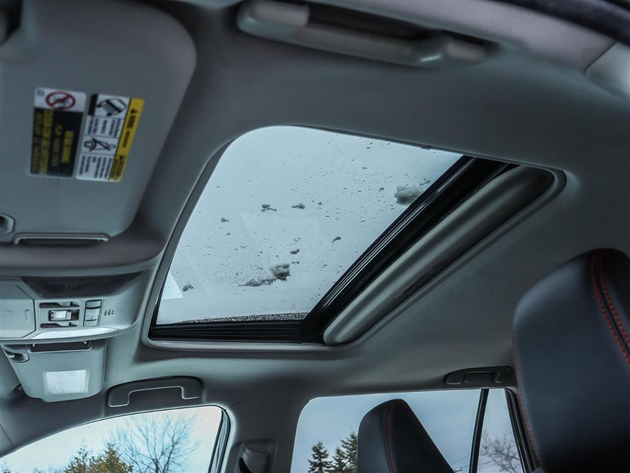 2019 Toyota RAV4 Trail 4dr All-Wheel Drive Photo