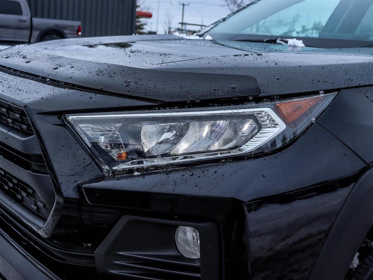 2019 Toyota RAV4 Trail 4dr All-Wheel Drive Photo