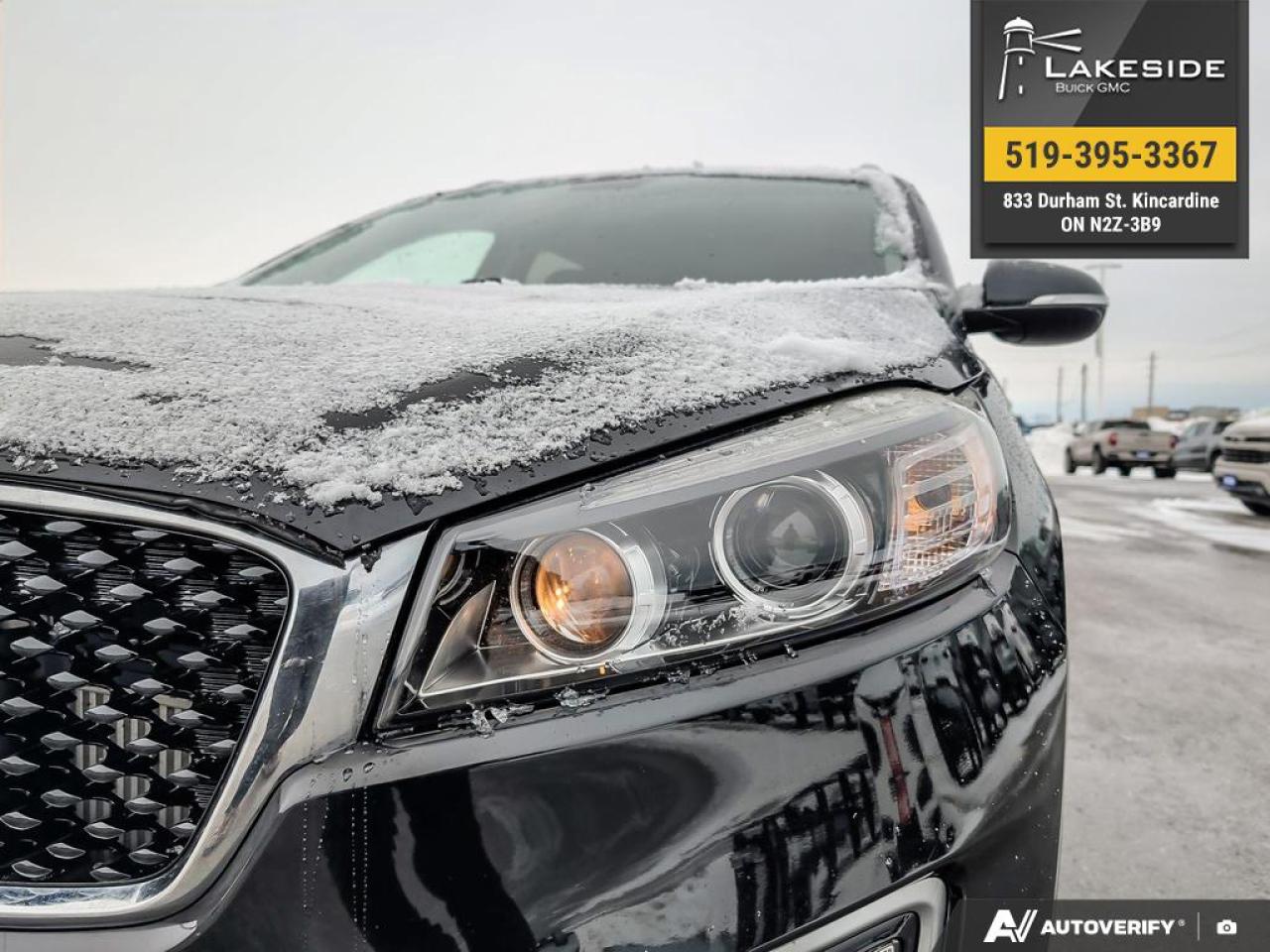 2017 Kia Sorento 2.0L EX Turbo 4dr All-Wheel Drive Photo