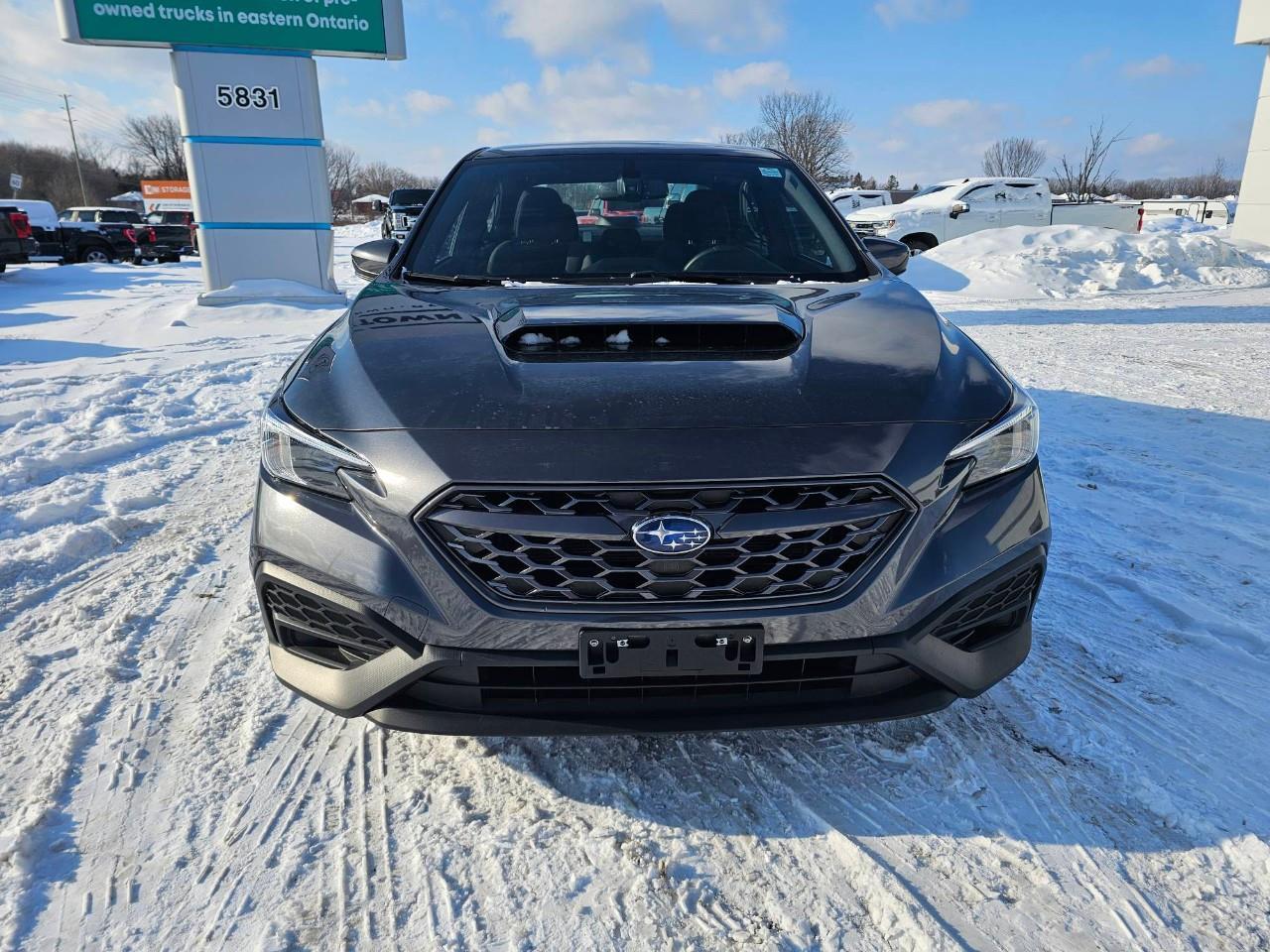 2023 Subaru WRX Base (M6) 4dr All-Wheel Drive Sedan Photo