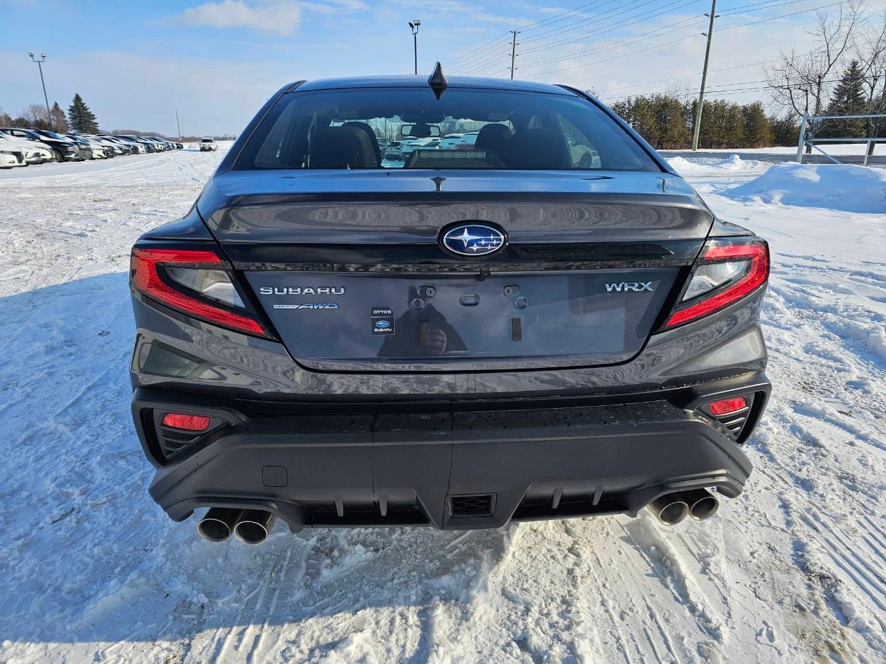 2023 Subaru WRX Base (M6) 4dr All-Wheel Drive Sedan Photo