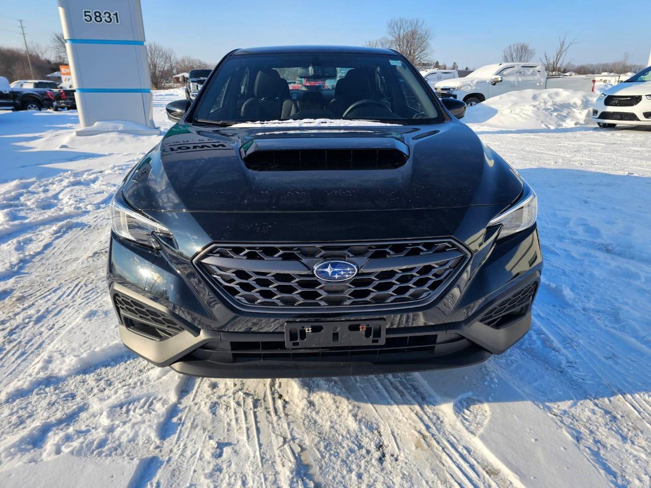 2023 Subaru WRX Base (M6) 4dr All-Wheel Drive Sedan Photo