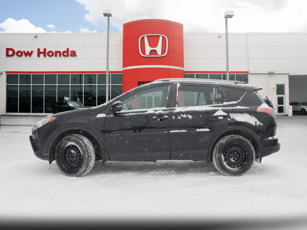 2017 Toyota RAV4 LE 4dr All-wheel Drive Photo