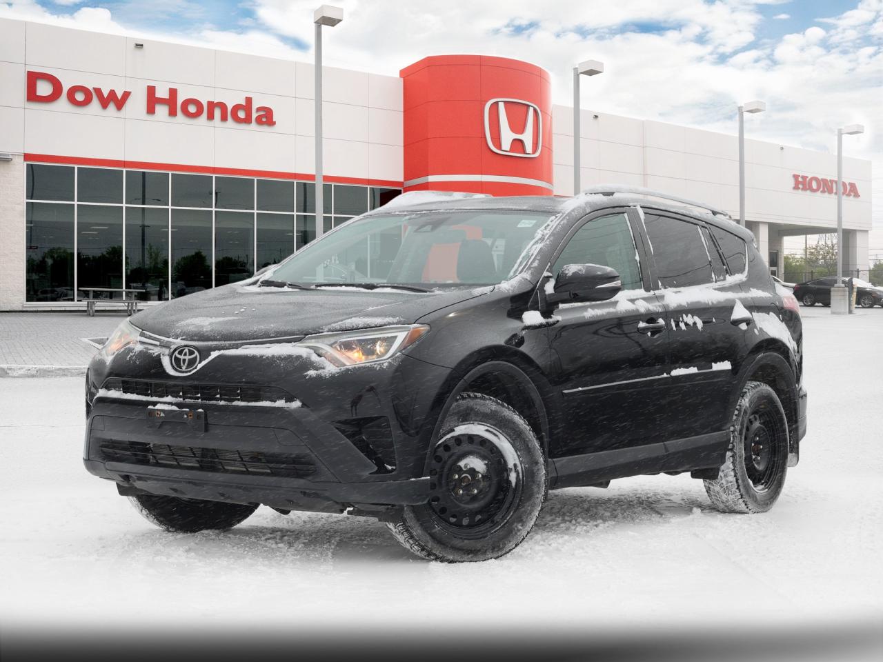 2017 Toyota RAV4 LE 4dr All-wheel Drive Photo