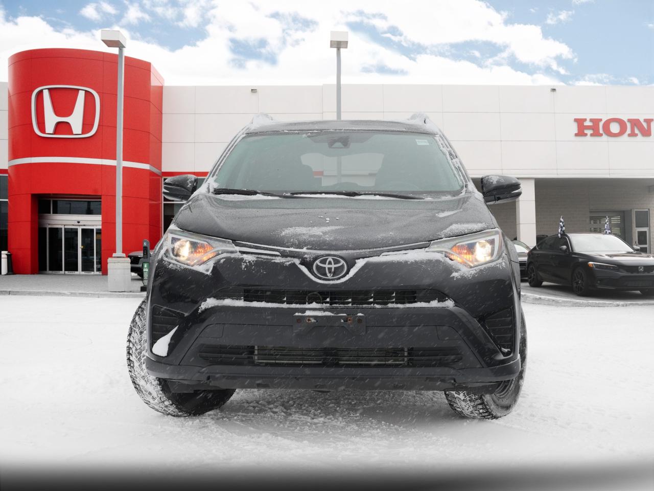 2017 Toyota RAV4 LE 4dr All-wheel Drive Photo