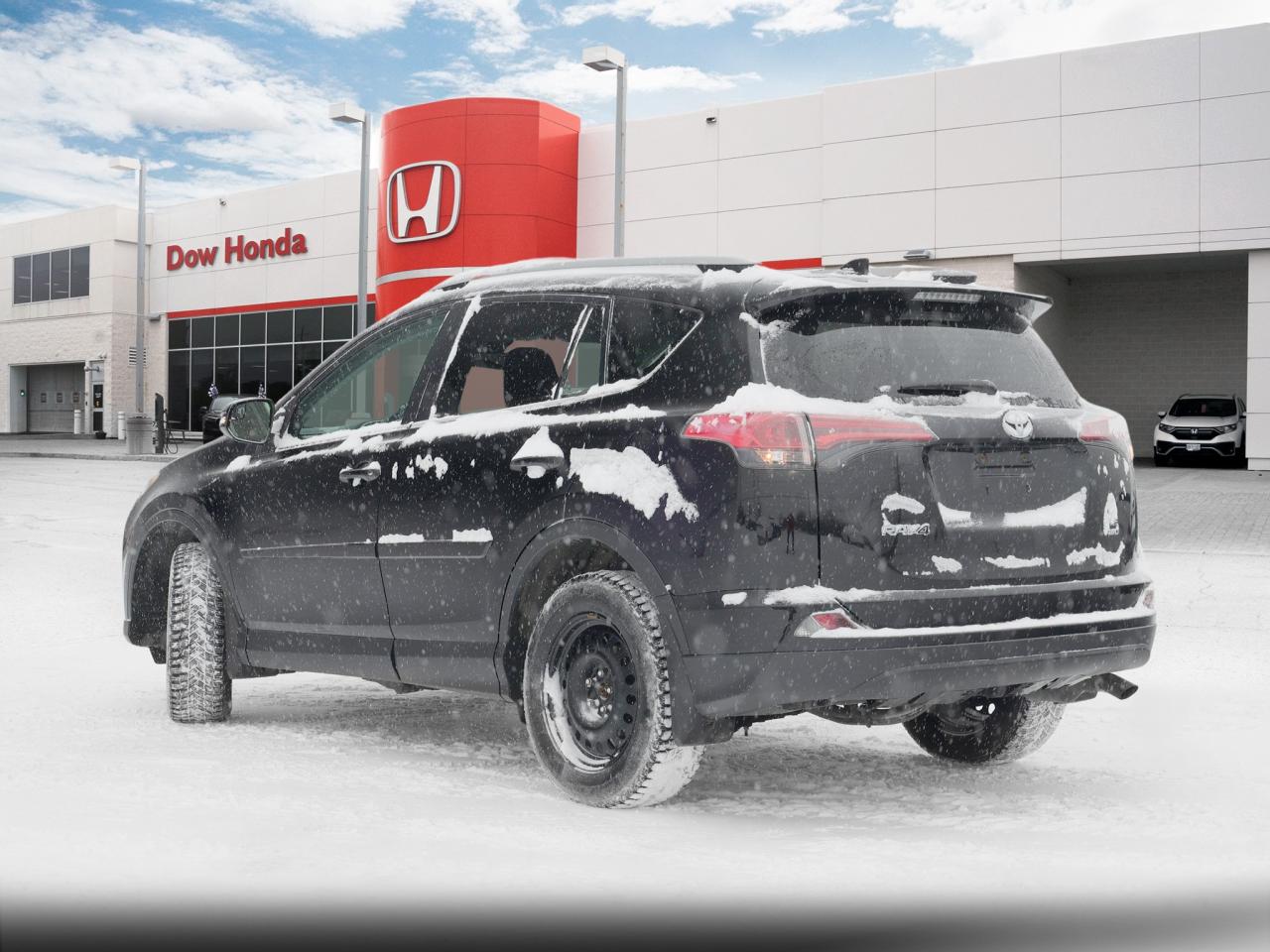 2017 Toyota RAV4 LE 4dr All-wheel Drive Photo4