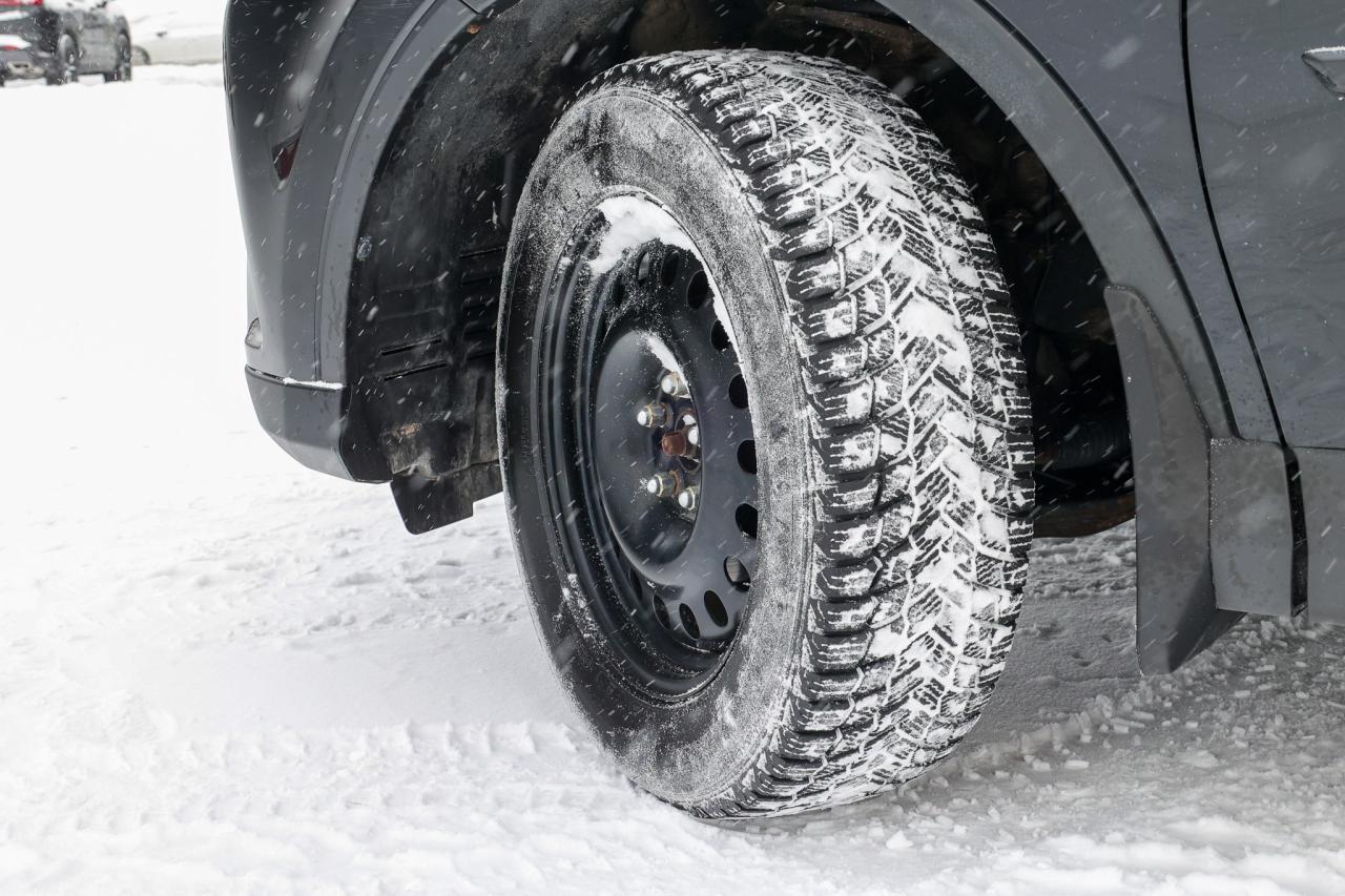 2017 Toyota RAV4 LE 4dr All-wheel Drive Photo