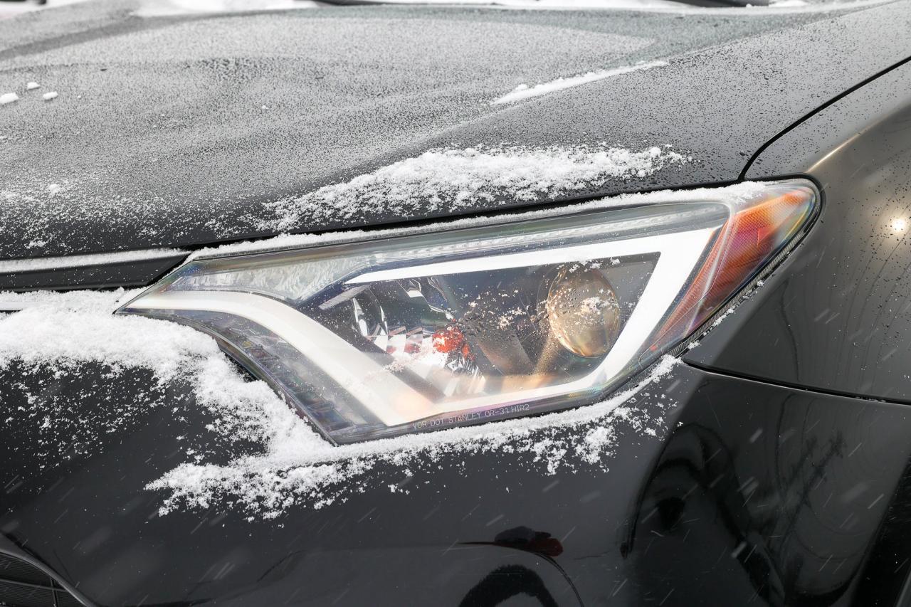 2017 Toyota RAV4 LE 4dr All-wheel Drive Photo