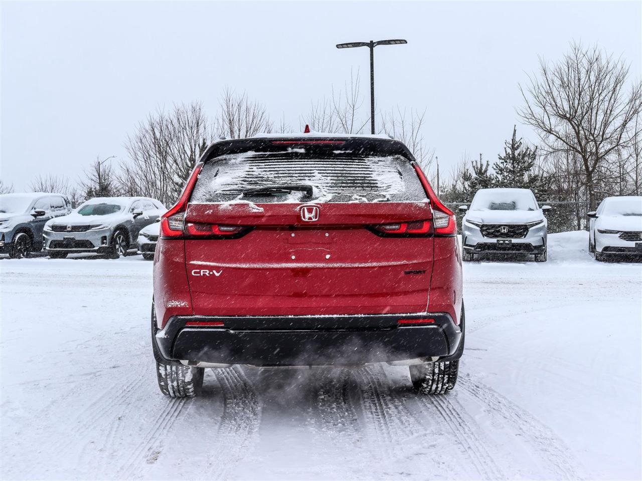 2024 Honda CR-V Sport 4dr All-Wheel Drive Photo