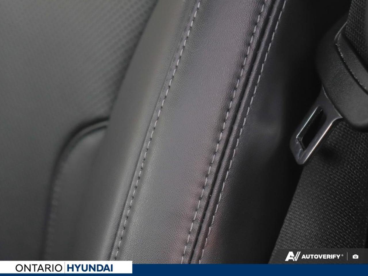 2023 Hyundai Santa Fe HEV Luxury 4dr All-Wheel Drive Photo