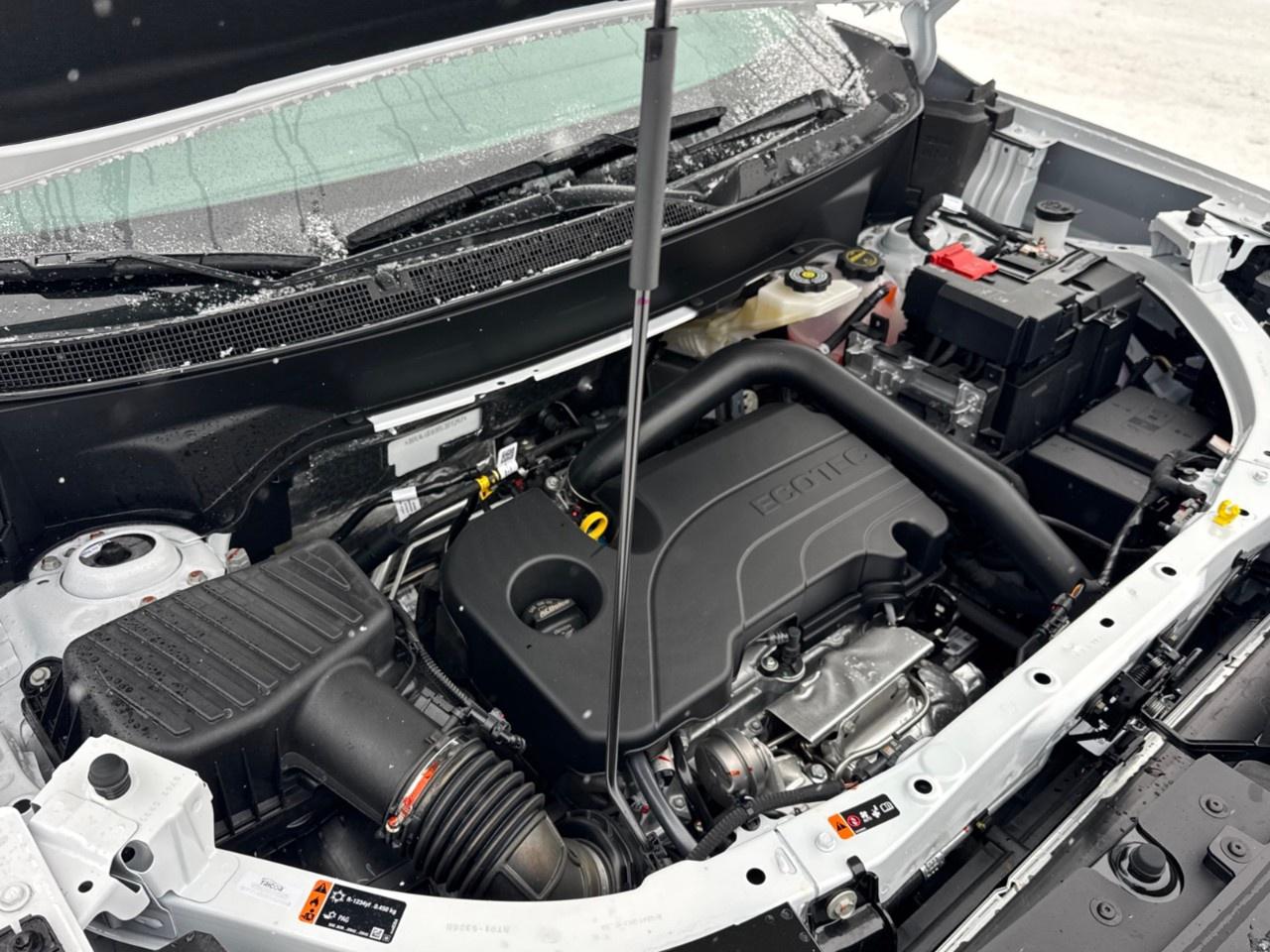 2026 GMC Terrain AWD Elevation Photo