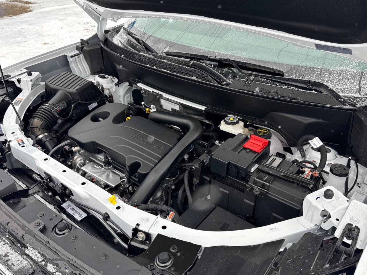 2026 GMC Terrain AWD Elevation Photo