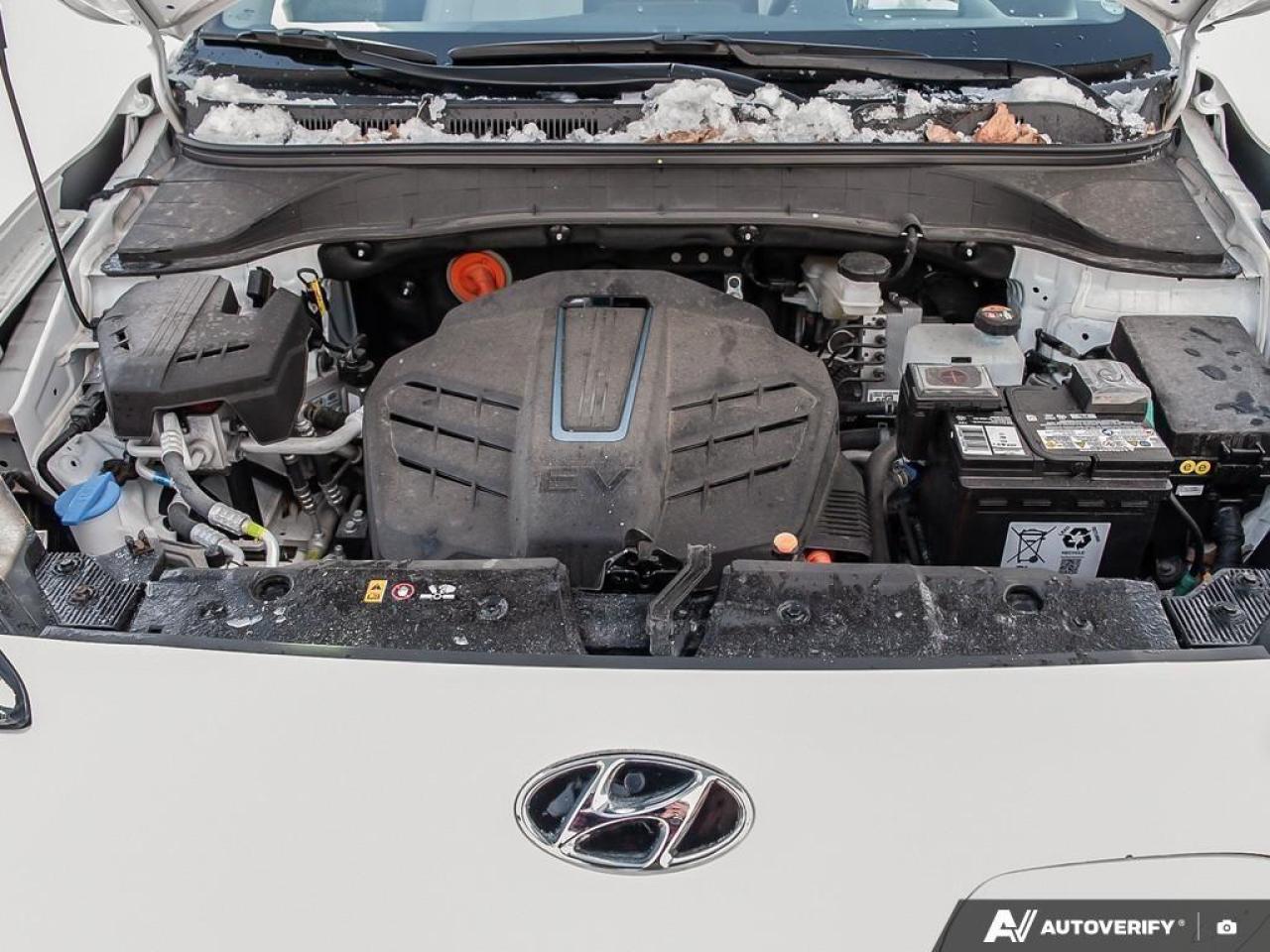 2023 Hyundai KONA electric Ultimate 4dr Front-Wheel Drive Photo