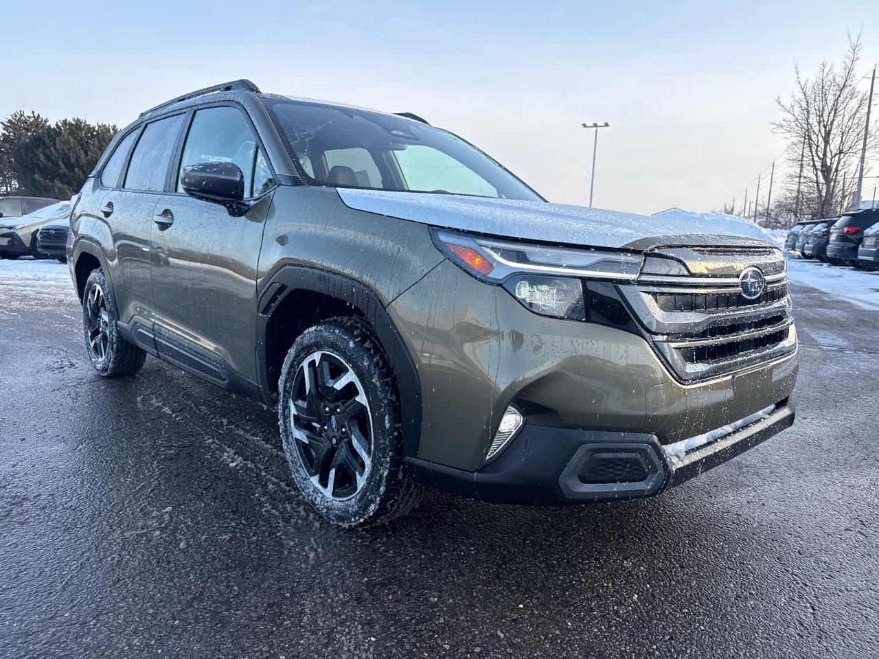 2026 Subaru Forester Limited 4dr All-Wheel Drive Photo