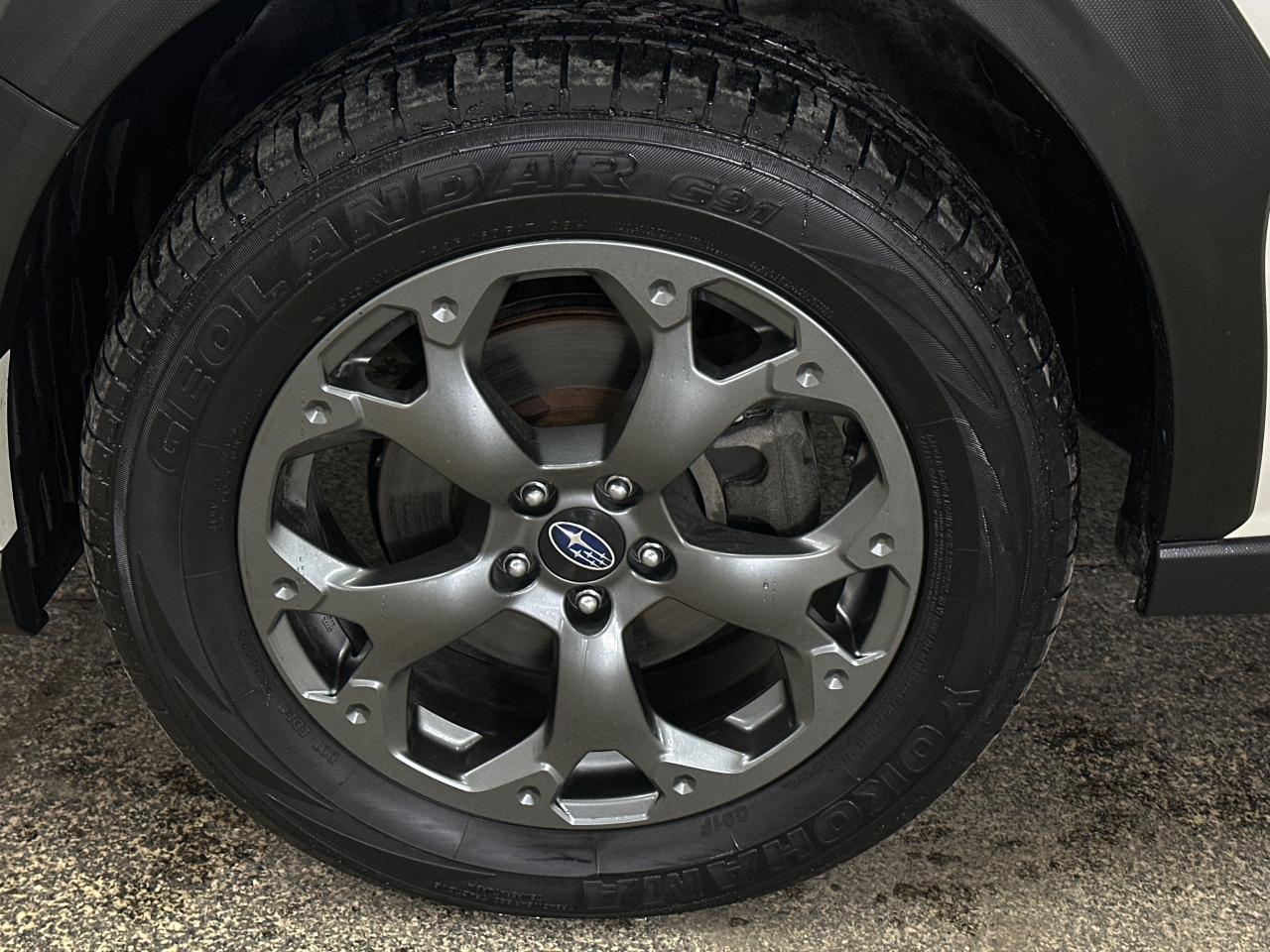 2023 Subaru Crosstrek Outdoor (CVT) 4dr All-Wheel Drive Photo