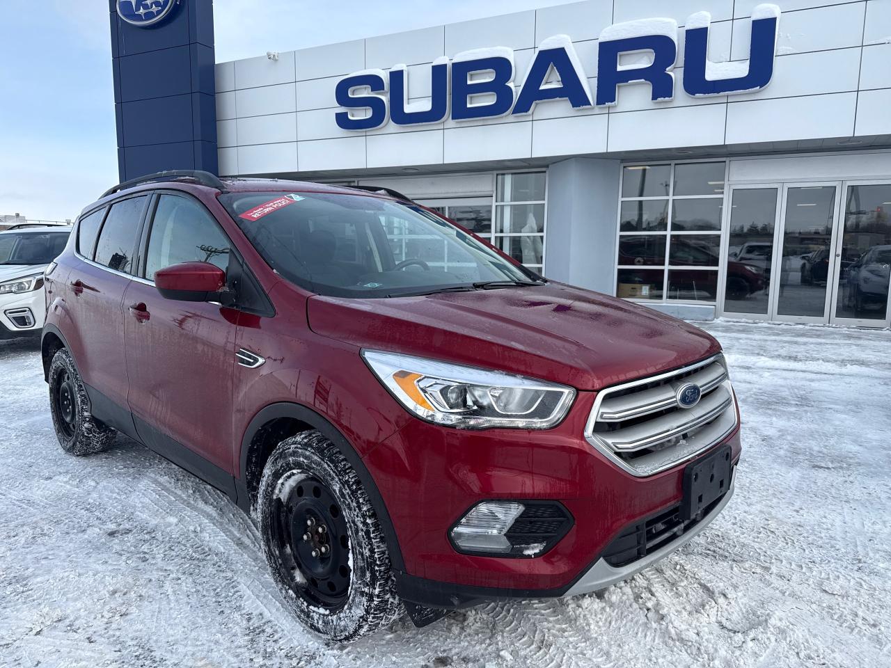 2018 Ford Escape SEL 4dr 4x4 Photo0