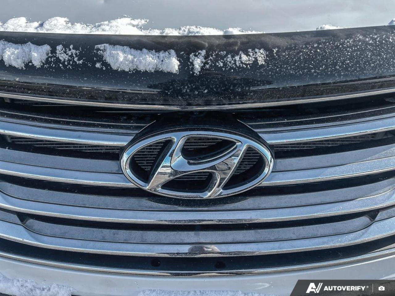 2016 Hyundai Santa Fe XL Limited Adventure Edition w/6 Passenger (A6 4dr All-Wheel Drive Photo