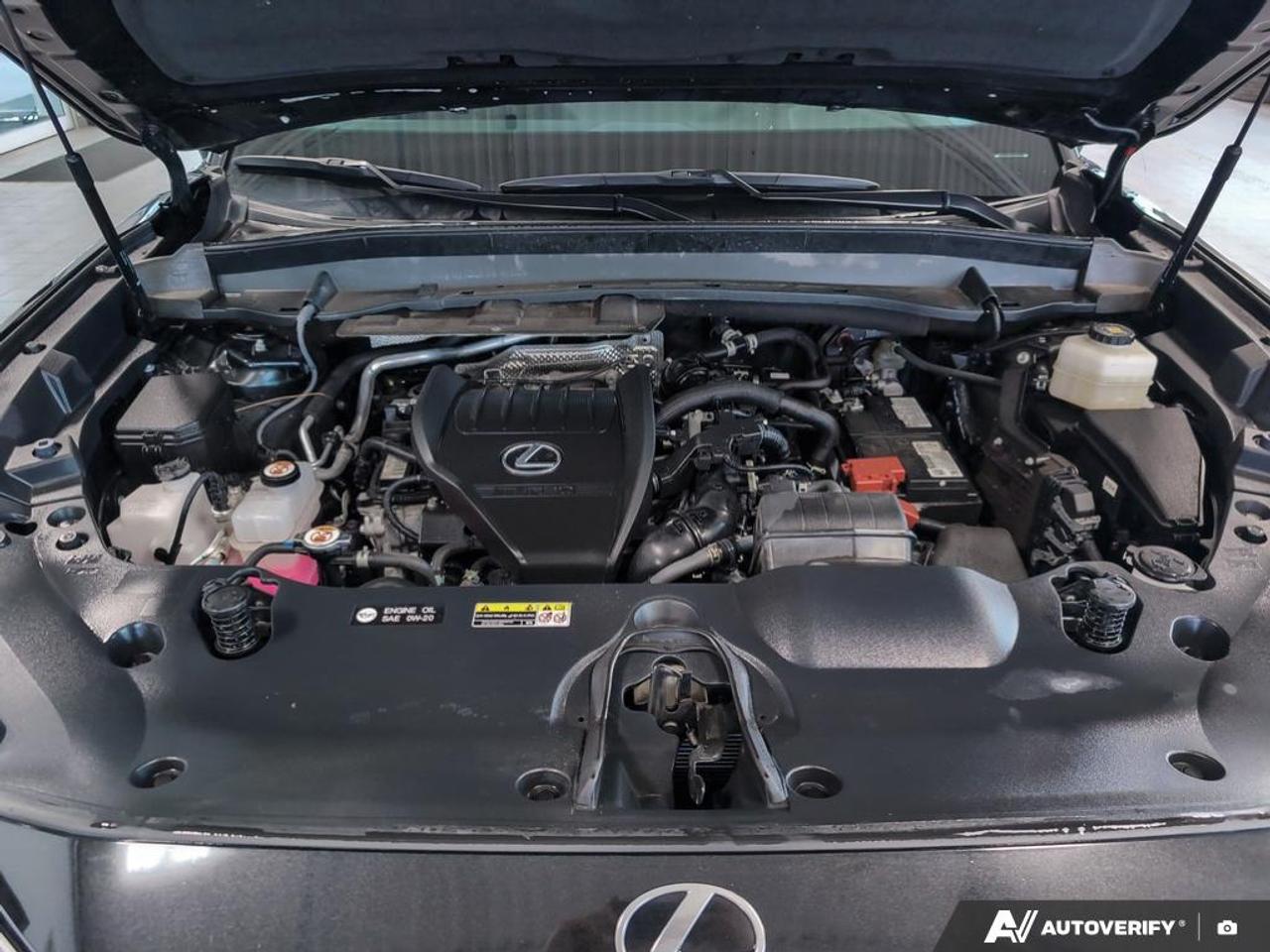 2024 Lexus TX 350 Base 4dr All-Wheel Drive Photo