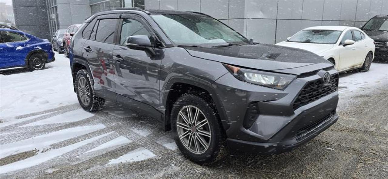 2021 Toyota RAV4 LE AWD Photo
