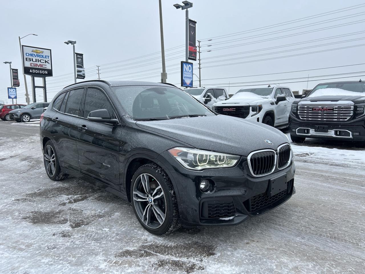 2016 BMW X1 AWD 4dr xDrive28i Photo