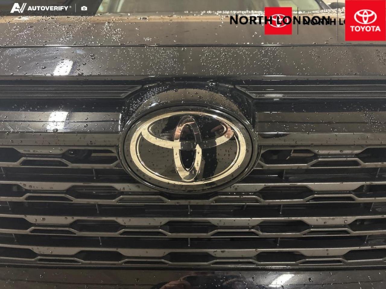 2024 Toyota RAV4 LE 4dr All-wheel Drive Photo