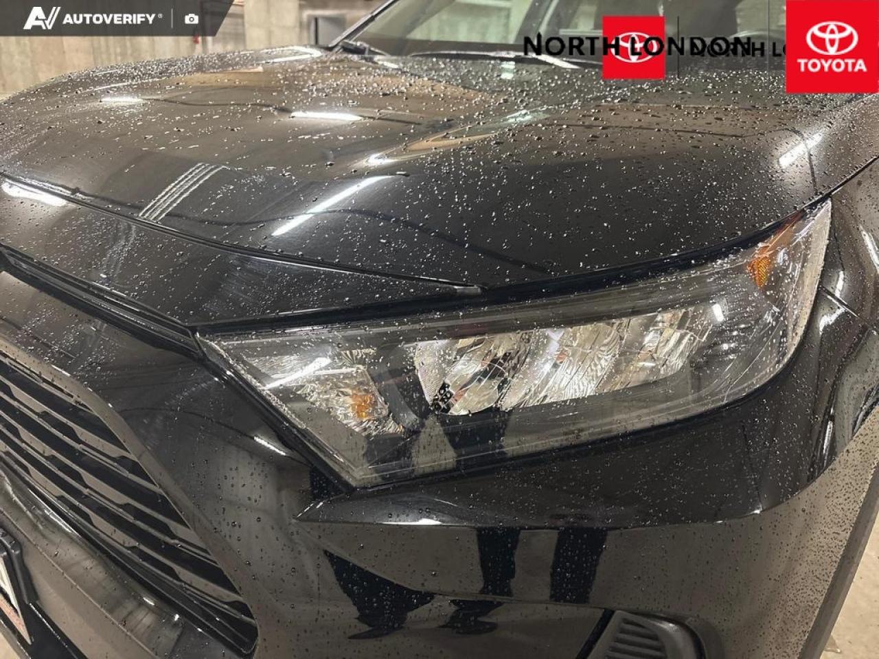 2024 Toyota RAV4 LE 4dr All-wheel Drive Photo