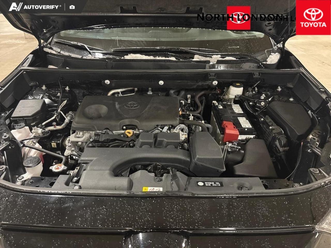 2024 Toyota RAV4 LE 4dr All-wheel Drive Photo