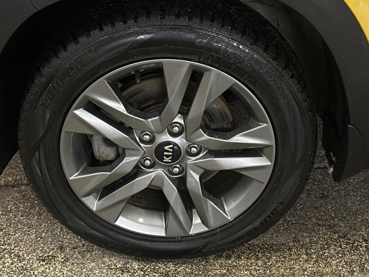 2021 Kia Seltos EX 4dr All-Wheel Drive Photo