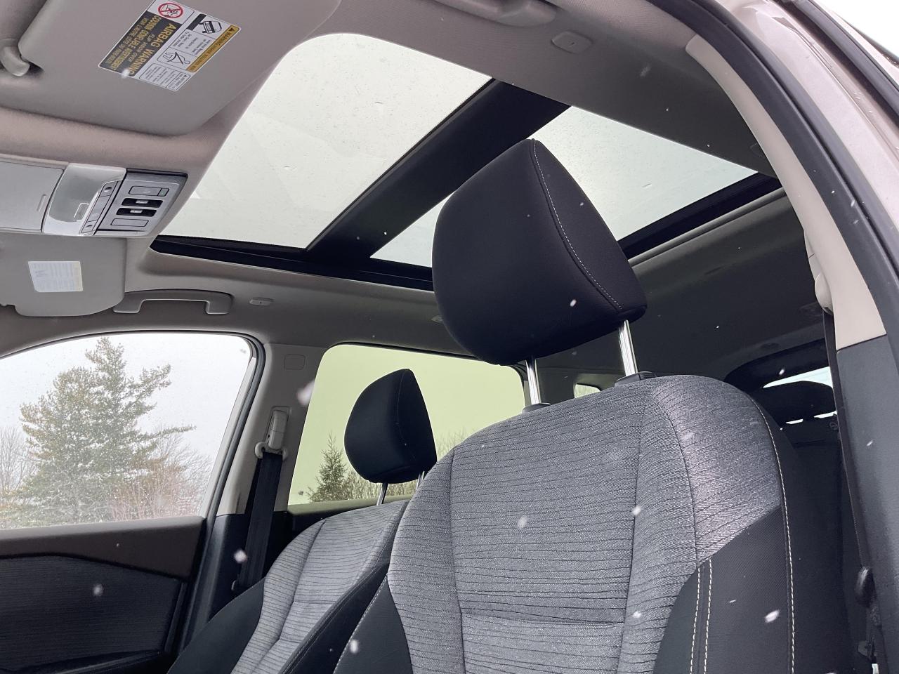 2023 Nissan Rogue  Photo