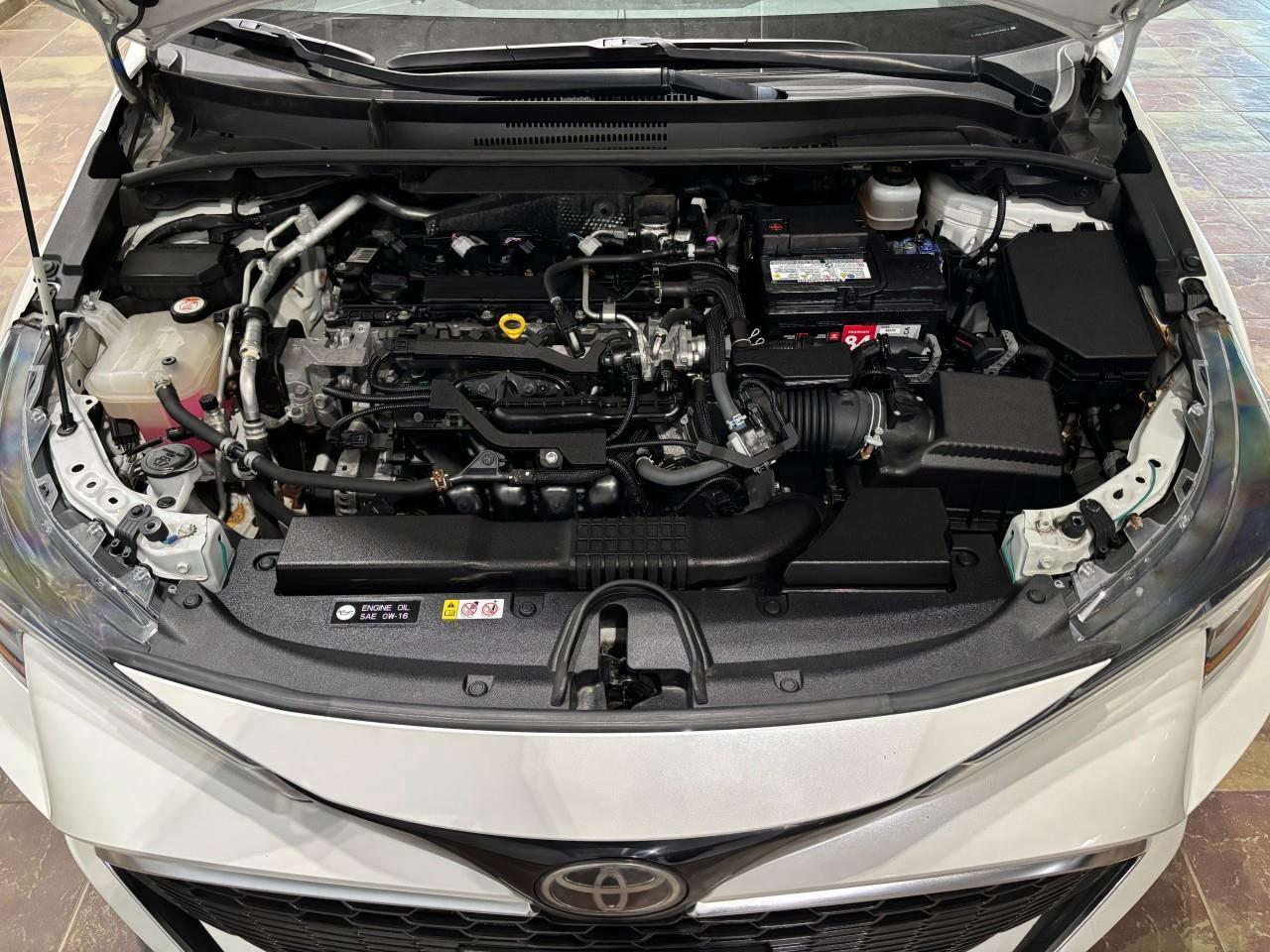 2019 Toyota Corolla Hatchback  Photo