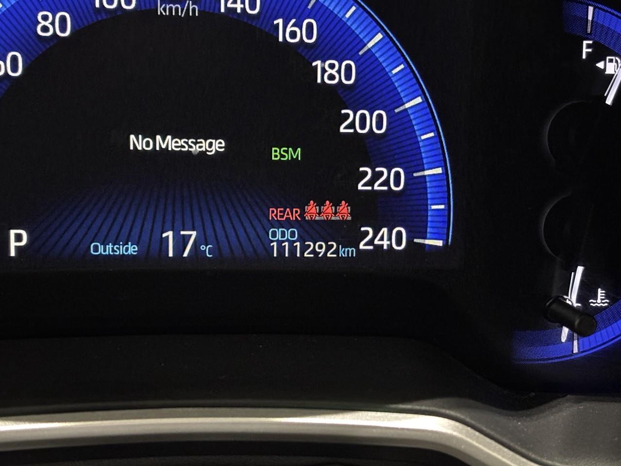 2019 Toyota Corolla Hatchback  Photo