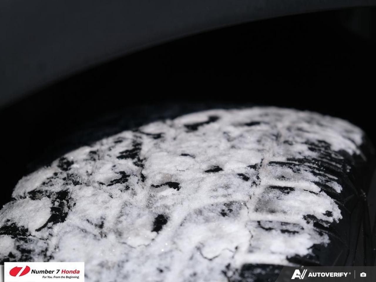 2019 Honda Pilot Ex-L Navi *NO REPORTED ACCIDENTS* Photo