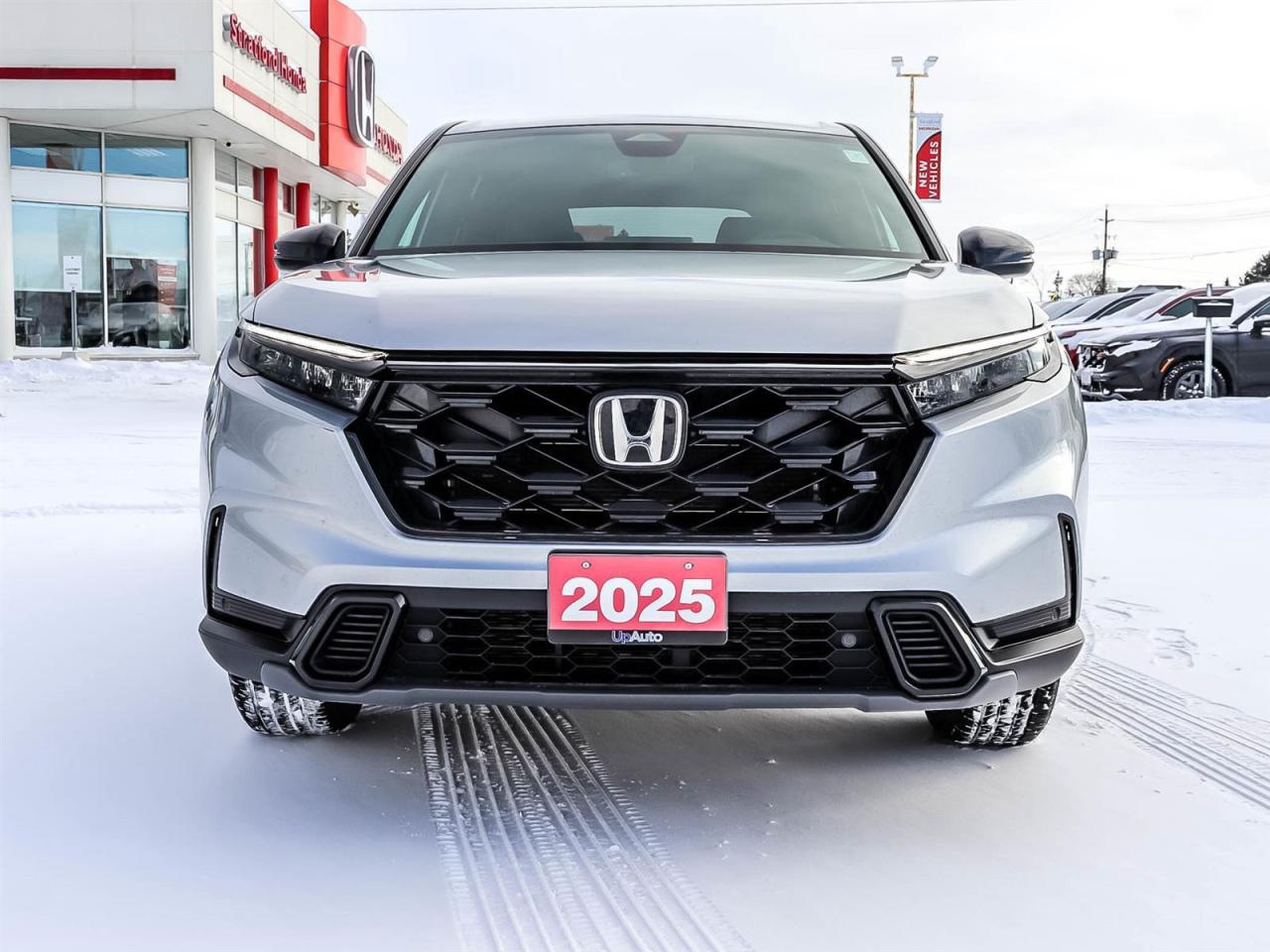 2025 Honda CR-V EX-L Photo