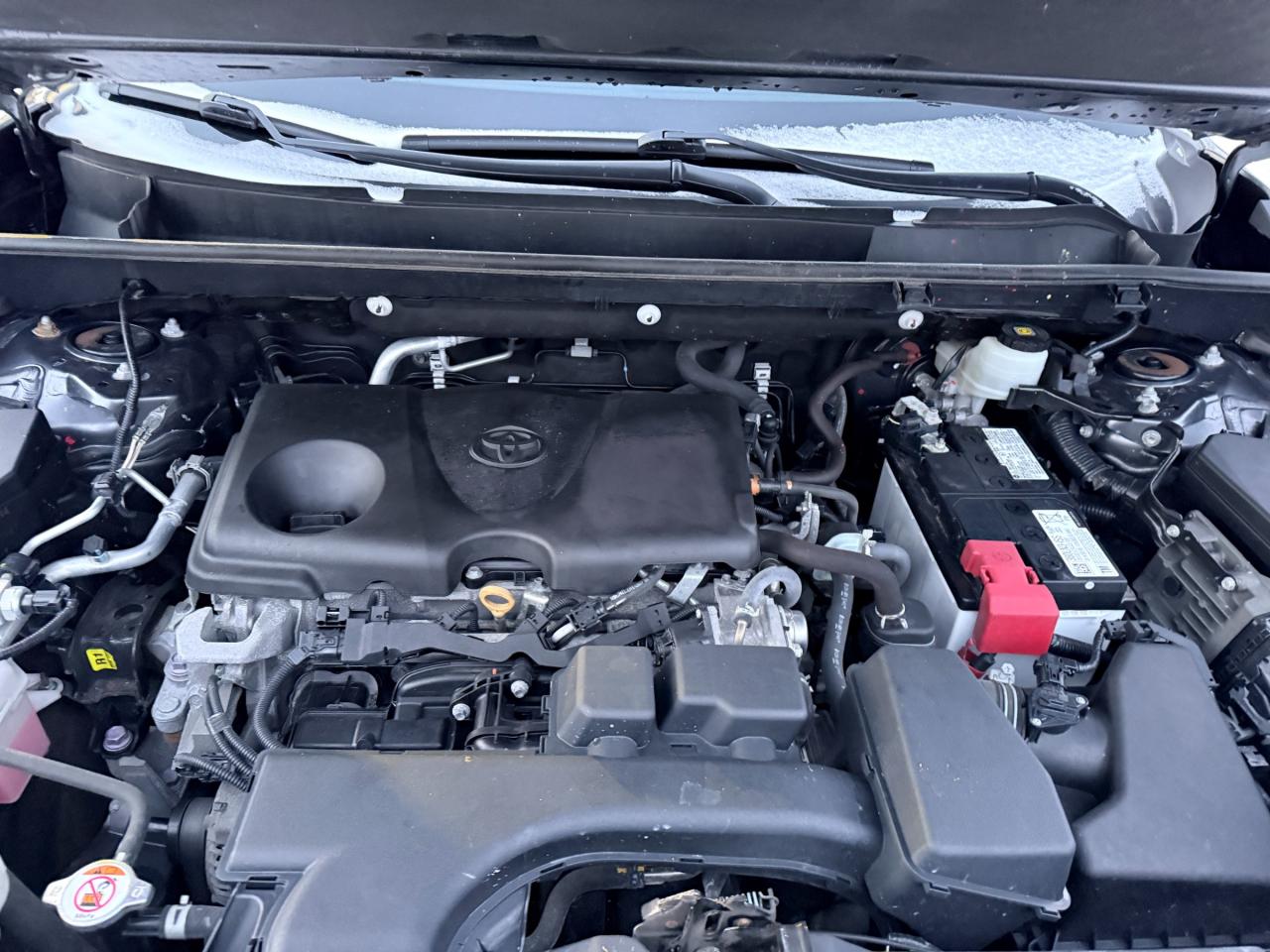 2022 Toyota RAV4 LE 4dr All-wheel Drive Photo