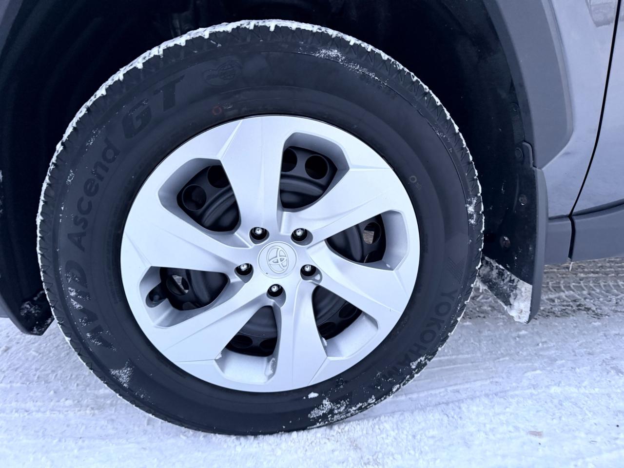 2022 Toyota RAV4 LE 4dr All-wheel Drive Photo