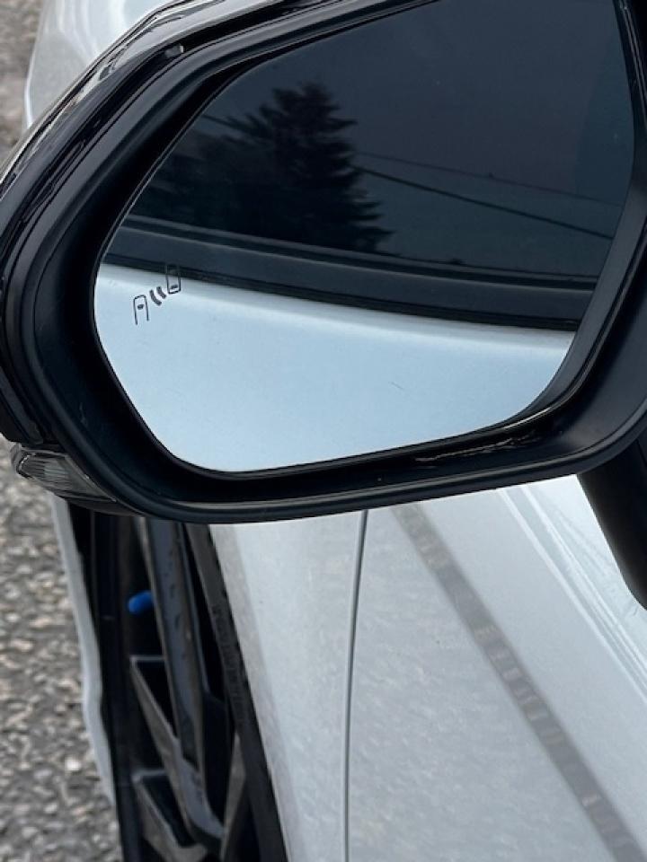 2021 Toyota Camry Hybrid XSE Auto Photo