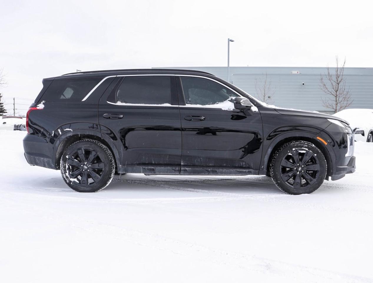 2024 Hyundai PALISADE URBAN Photo