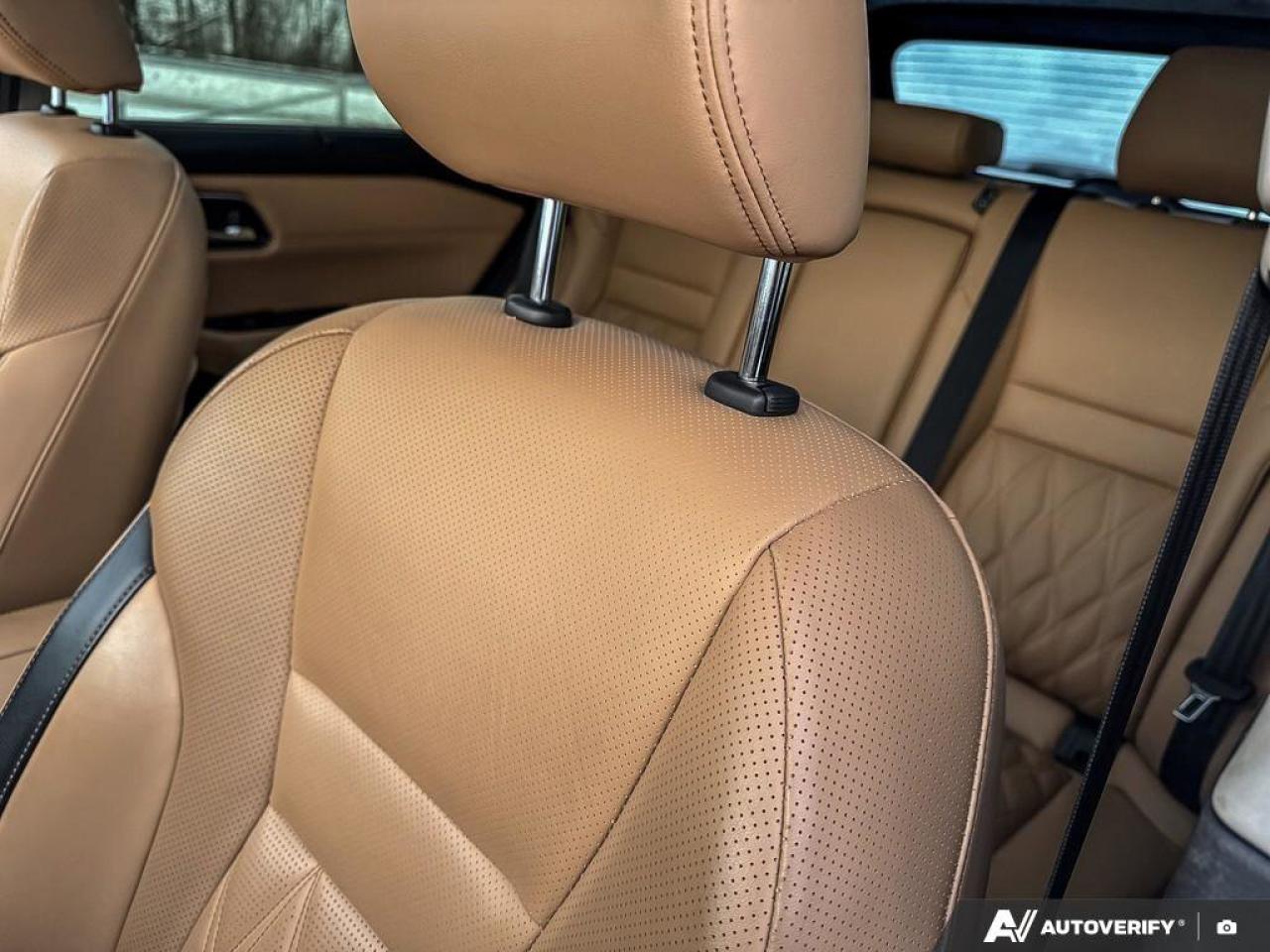 2023 Nissan Rogue Platinum Photo