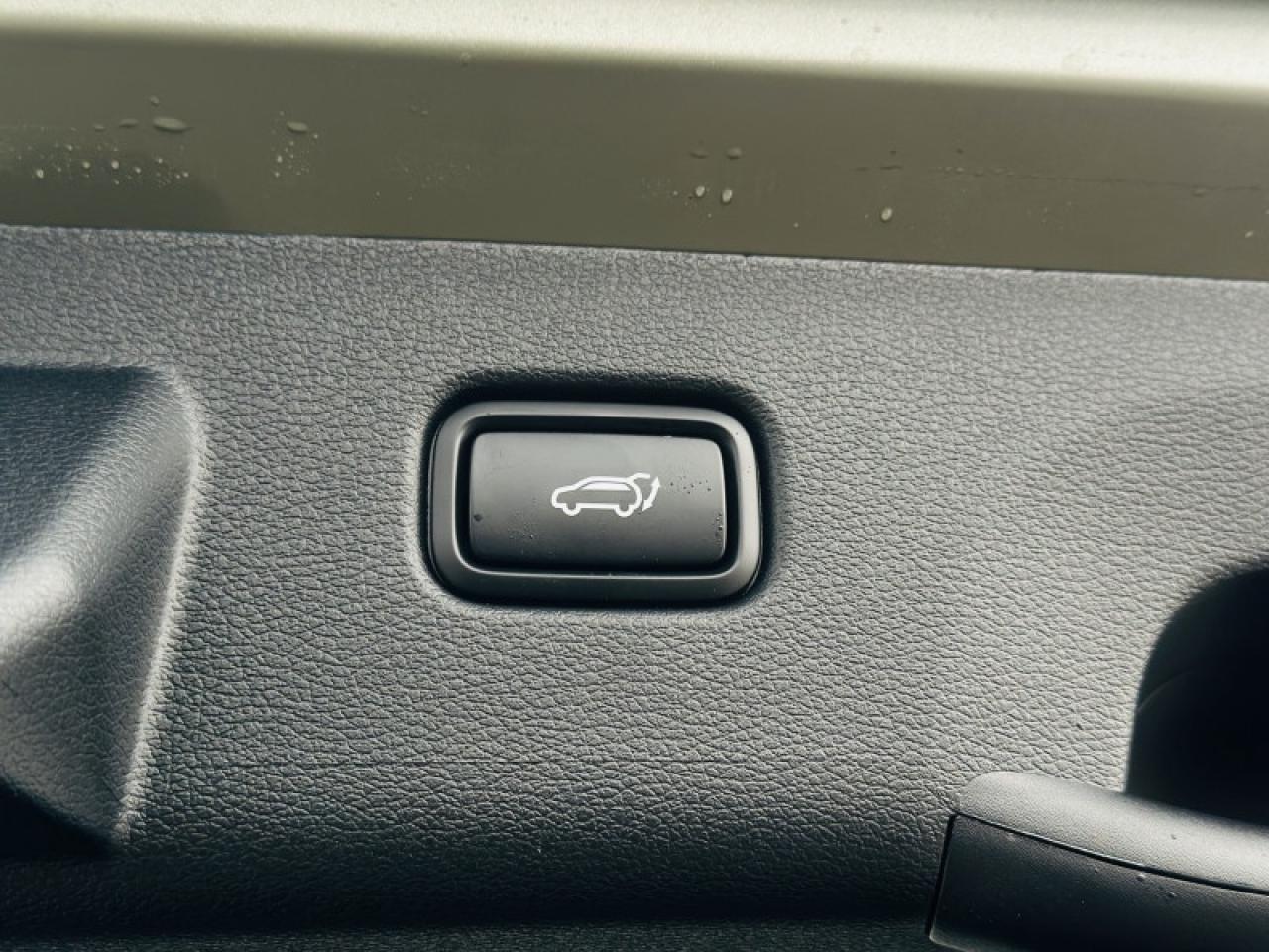 2026 Kia Sportage X-line Limited Photo