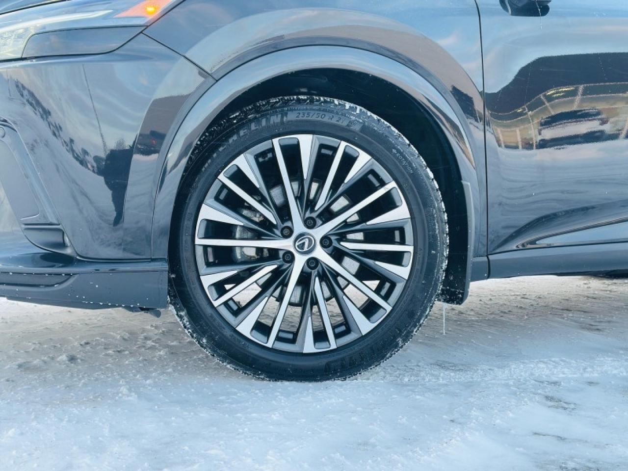 2023 Lexus RX 350 Photo