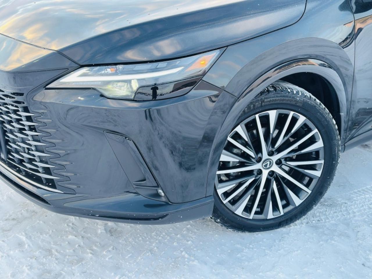 2023 Lexus RX 350 Photo