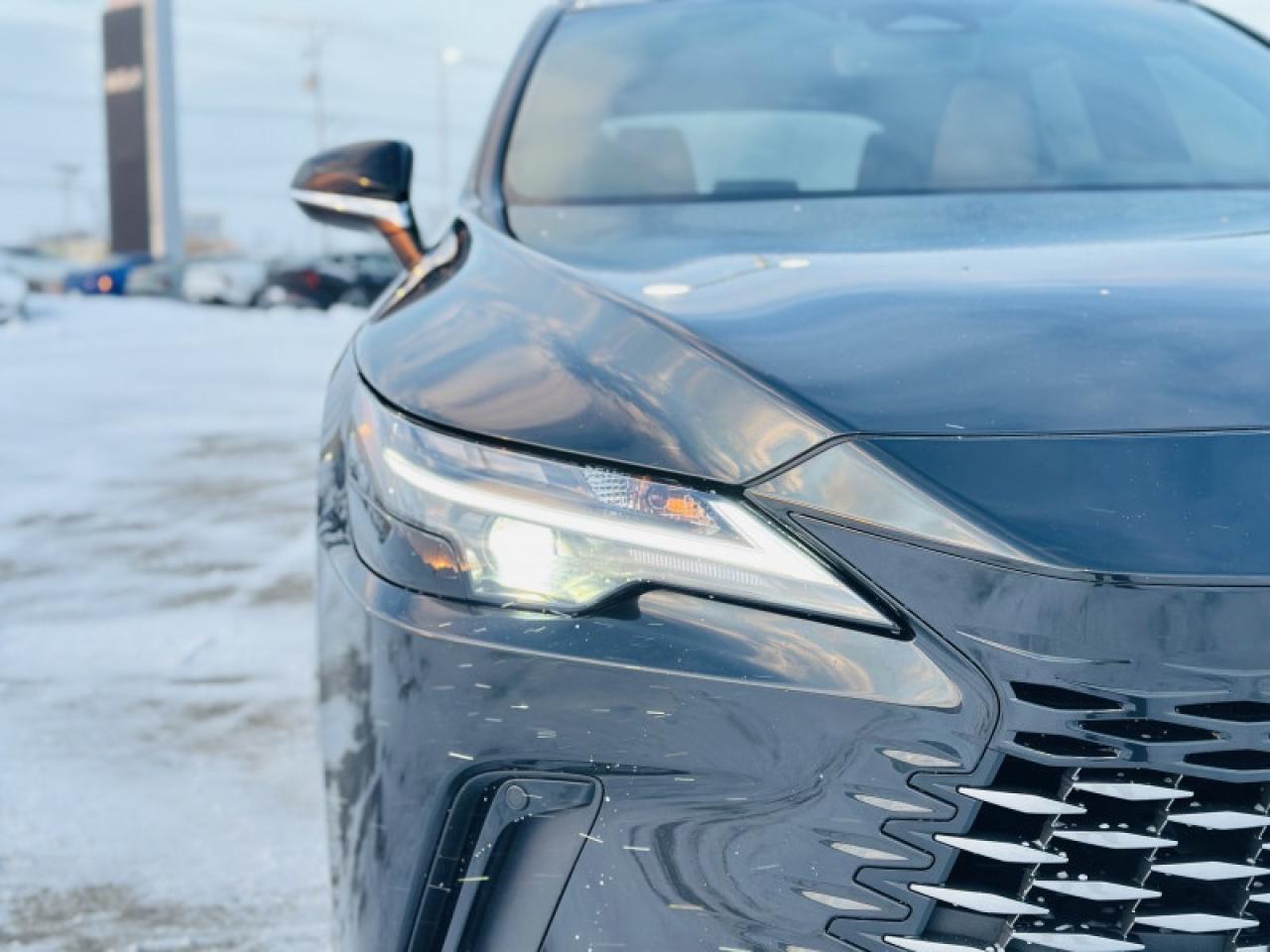 2023 Lexus RX 350 Photo